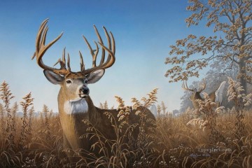 Animal Painting - ciervo 01
